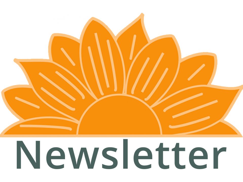 Newsletter Block