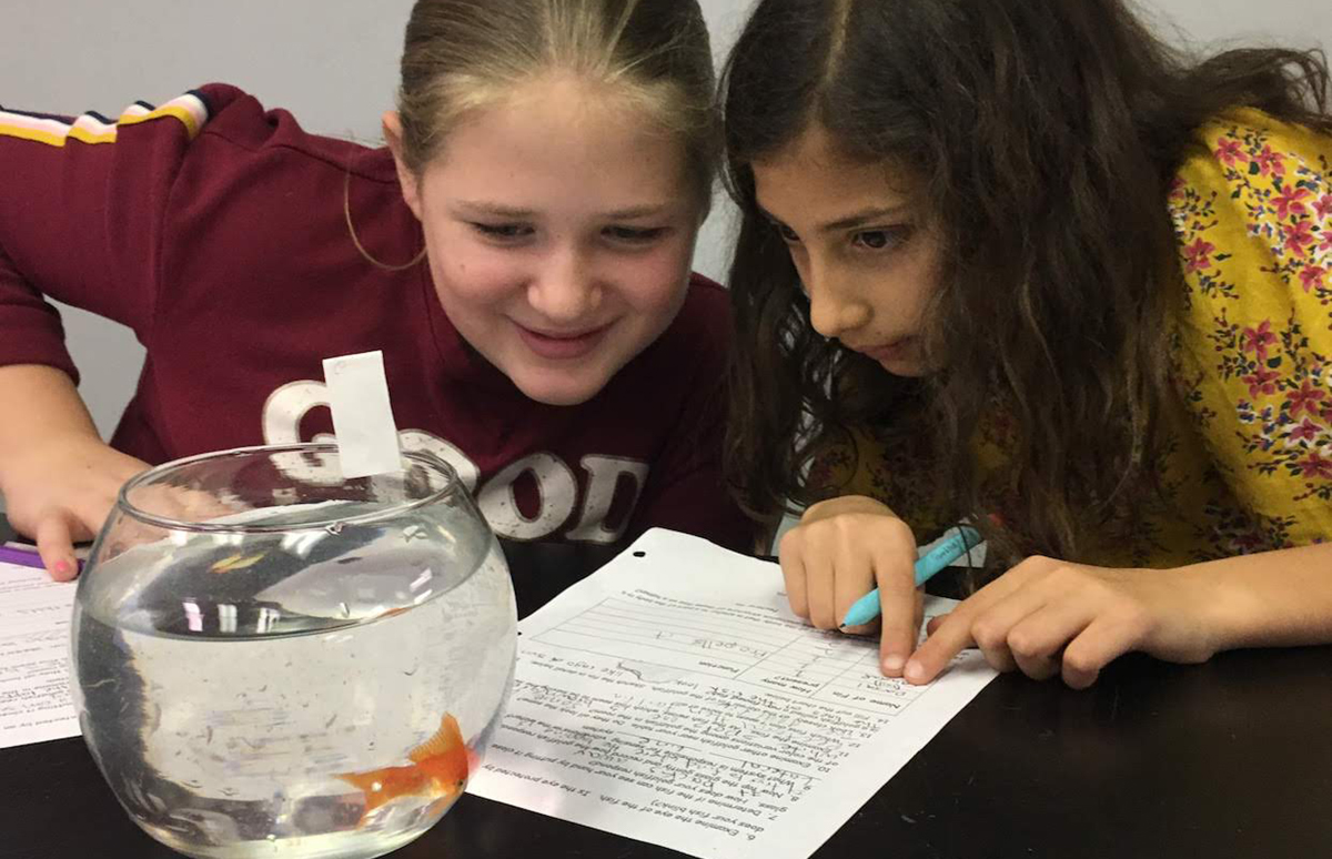 Block Image - Two students looking at a fishbowl and working on an assignment
